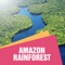 The Amazon Rainforest is a moist broadleaf forest in the Amazon Basin of South America