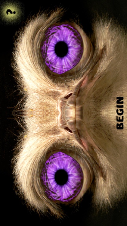 eyeTuner