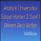 Atatürk Üniversitesi Sosyal Hizmet 3