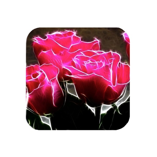 Flowers - Collection icon