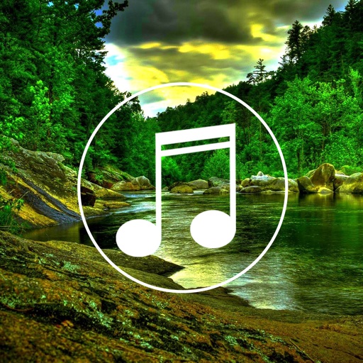 Jungle Sounds Relaxing Nature & Forest Ambience icon