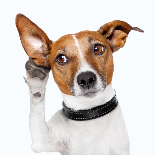 Jack the Terrier - Dog Stickers for iMessage