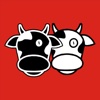 2 Cows