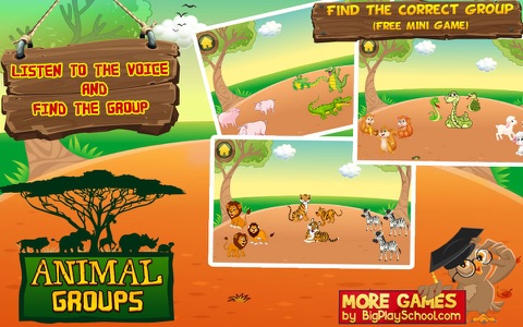Animal Groups - Learn Animals screenshot 3