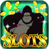 Ferocious African Slots: Strike the most gorilla combinations and be the lucky winner