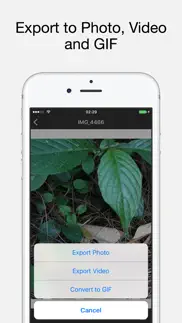 live exporter - live photo to gif, video and photo iphone screenshot 2