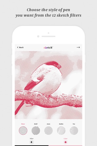 SketchPlus  -  pen, picture, sketch effect, art screenshot 2