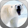 Deadly Wild Polar Bear Attack Simulator