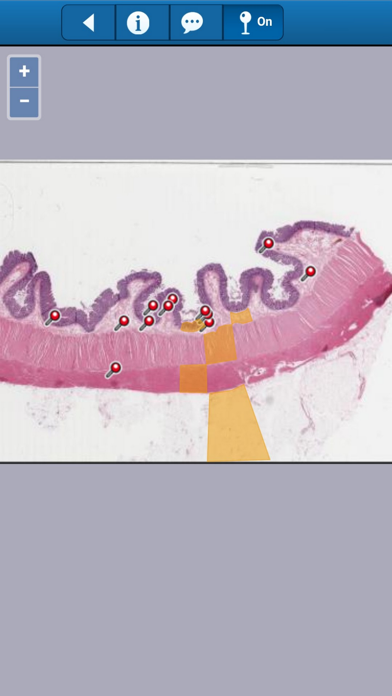 smart Histology Screenshot 3