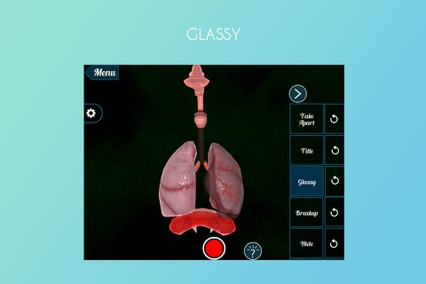 Breathing Mechanism 3D screenshot 4