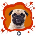 Top 35 Stickers Apps Like Handsome Pug Puppy Animated - Best Alternatives