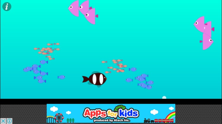 Touch and Find! Sea Creatures