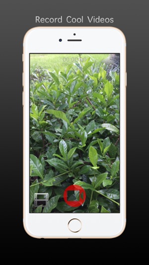 SimpleCam -Widescreen Camera(圖2)-速報App