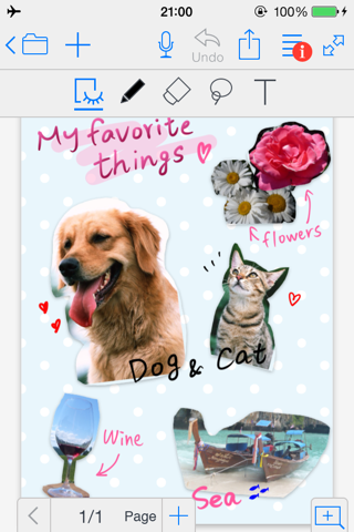 MetaMoJi Note - náhled