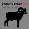 REAL Bighorn Sheep Hunting Calls -- (ad free) BLUETOOTH COMPATIBLE