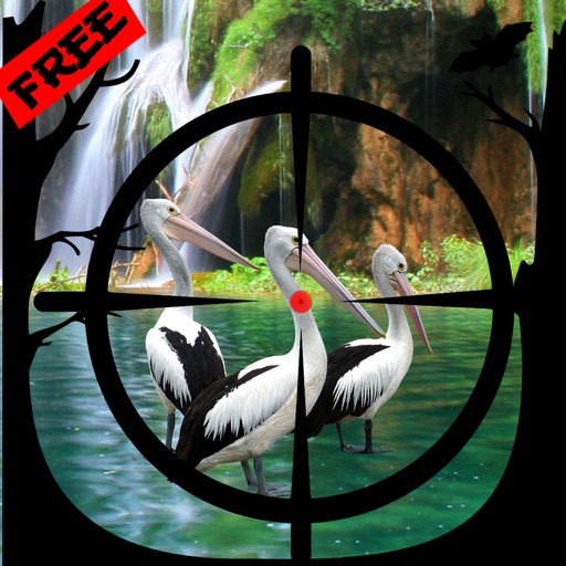 Bird Hunting Window Operation iOS App