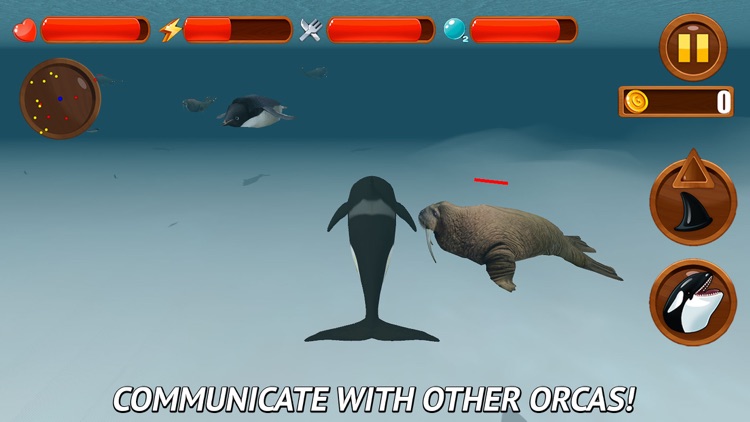 Angry Killer Whale: Orca Simulator 3D