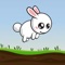 Bunny Rescue - Garden Rabbit Breaks Out!