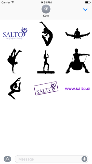 Salto Stickers