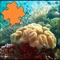 Coral Reefs Jigsaw Puzzles HD - is a great jigsaw puzzle with the most beautiful photos and with interesting detailed info