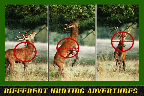 Deer Hunt-Ing 2K16 To 2K17 Elite Pro - Sniper screenshot 2