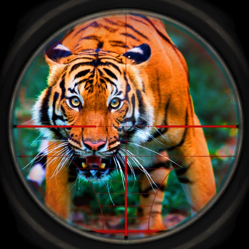 African Wild Tiger Hunt 2016 - Safari Hunter Icon