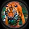 African Wild Tiger Hunt 2016 - Safari Hunter