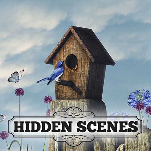 Hidden Scenes - Summer Secrets iOS App