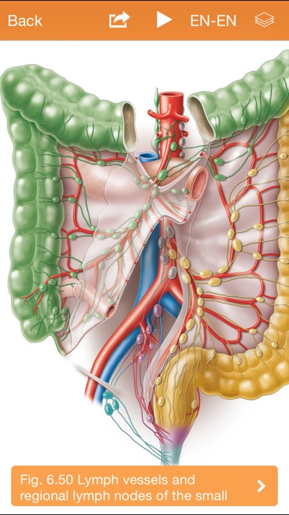 Sobotta Anatomy Atlas screenshot-4