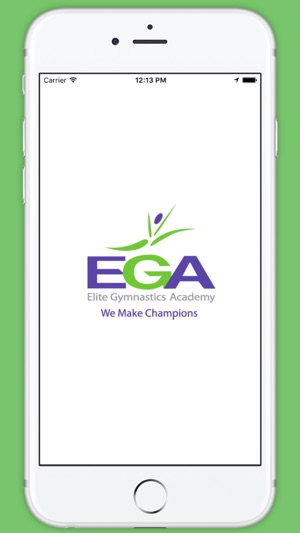 EGA - Elite Gymnastics Academy Miami