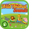 Wild Free Animal Sounds