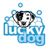 Lucky Dog Rewards