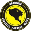 Academia Pantera Negra