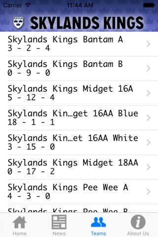 Skyland Kings screenshot 3