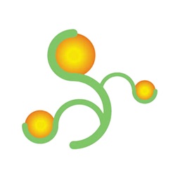 井村玲子気功整体院