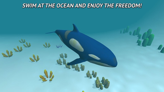 Angry Killer Whale: Orca Simulator 3D(圖4)-速報App