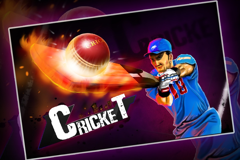 Cricket 3D : Street Challenge screenshot 2