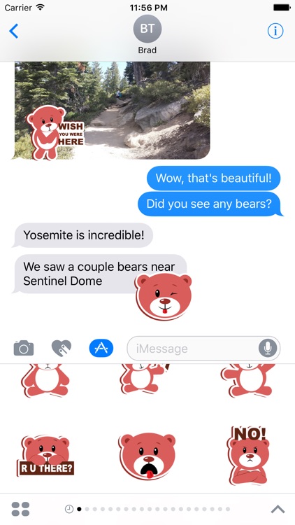 Furry Bears