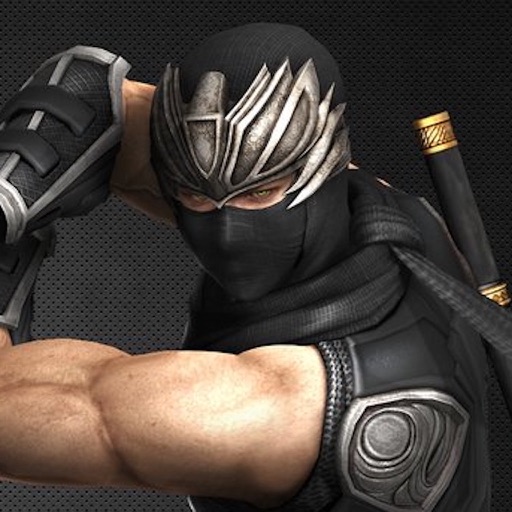 Ninja mutant assassin warriour samurai fighter Icon