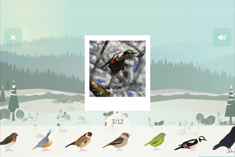 BirdLab screenshot 2