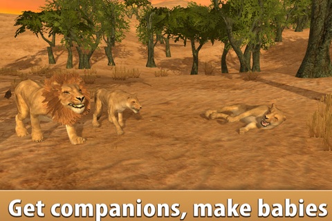 Lion Simulator: Wild African Animal Full screenshot 4