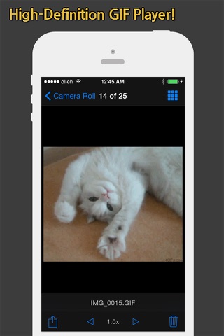 GIF Show - GIF Viewer and Album screenshot 2