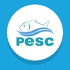 PESC Serviços