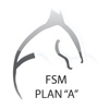 FSM-PlanA