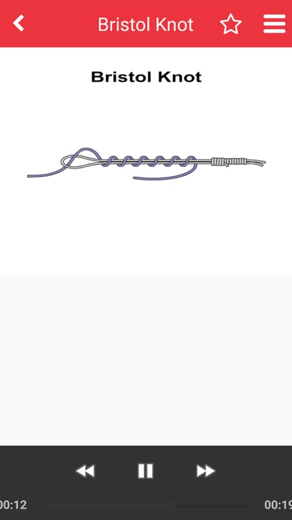 Net Knots screenshot-4