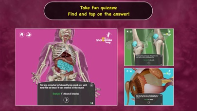 My Incredible Body - A Kid's App to Learn about the Human Body Screenshot 5
