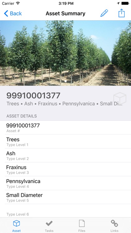 Histree