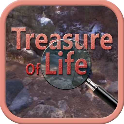 Treasure Of Life