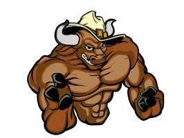 Its time to show some team pride for whatever longhorn themed team your rooting for