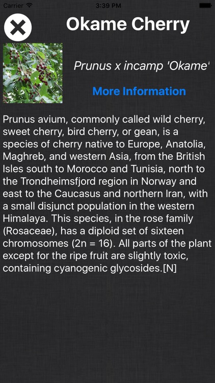 Tree Book - Information Of A - Z Tree Species